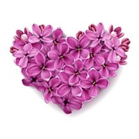 Сердце из сирени - Фотообои цветы|сирень