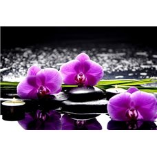 Картина на холсте по фото Модульные картины Печать портретов на холсте Цветочки орхидеи - Фотообои цветы|орхидеи