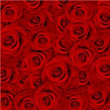 Картина на холсте по фото Модульные картины Печать портретов на холсте Красные бутоны - Фотообои цветы|розы