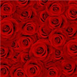 Красные бутоны - Фотообои цветы|розы - Модульная картины, Репродукции, Декоративные панно, Декор стен
