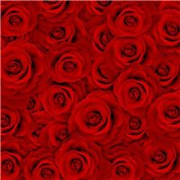 Портреты картины репродукции на заказ - Красные бутоны - Фотообои цветы|розы