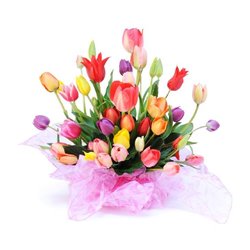 Букет тюльпанов - Фотообои цветы|тюльпаны - Модульная картины, Репродукции, Декоративные панно, Декор стен