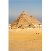 Верблюды в пустыне - Фотообои архитектура|Египет