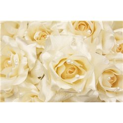 Букет роз - Фотообои цветы|розы - Модульная картины, Репродукции, Декоративные панно, Декор стен