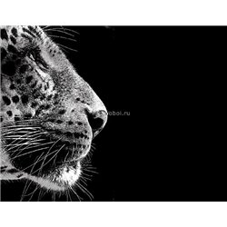 Леопард - Черно-белые фотообои - Модульная картины, Репродукции, Декоративные панно, Декор стен