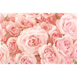 Романтичное настроение - Фотообои цветы|розы - Модульная картины, Репродукции, Декоративные панно, Декор стен