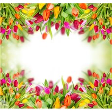 Картина на холсте по фото Модульные картины Печать портретов на холсте Тюльпановое чудо - Фотообои цветы|тюльпаны