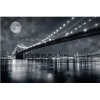 Портреты картины репродукции на заказ - Луна над мостом - Фотообои Современный город|Нью-Йорк