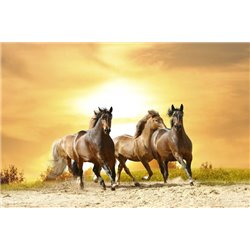 Табун - Фотообои Животные|лошади - Модульная картины, Репродукции, Декоративные панно, Декор стен