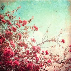 Картина на холсте по фото Модульные картины Печать портретов на холсте Весенняя композиция - Фотообои цветы|цветущие деревья
