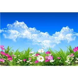 Весенние цветы - Фотообои цветы|полевые - Модульная картины, Репродукции, Декоративные панно, Декор стен
