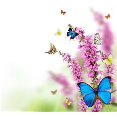 Картина на холсте по фото Модульные картины Печать портретов на холсте Цветы и бабочки - Фотообои цветы|другие