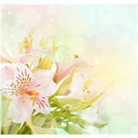 Лилии - Фотообои цветы|лилии