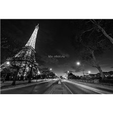 Картина на холсте по фото Модульные картины Печать портретов на холсте Ночной Париж - Черно-белые фотообои