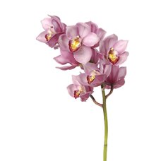 Картина на холсте по фото Модульные картины Печать портретов на холсте Цветы орхидеи - Фотообои цветы|орхидеи