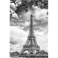 Портреты картины репродукции на заказ - Эйфелева башня Париж - Черно-белые фотообои