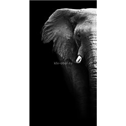 Слон на черном фоне - Черно-белые фотообои - Модульная картины, Репродукции, Декоративные панно, Декор стен