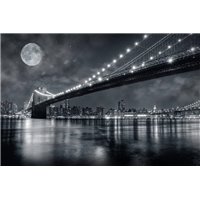 Портреты картины репродукции на заказ - Луна над Бруклинским мостом - Фотообои Современный город|Нью-Йорк