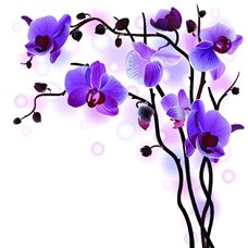 Картина на холсте по фото Модульные картины Печать портретов на холсте Фиолетовые орхидеи - Фотообои цветы|орхидеи