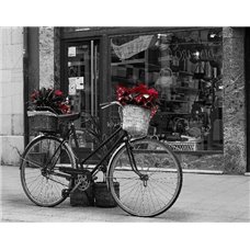 Картина на холсте по фото Модульные картины Печать портретов на холсте Велосипед на улице - Черно-белые фотообои