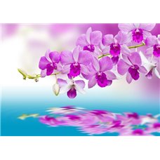 Картина на холсте по фото Модульные картины Печать портретов на холсте Розовая орхидея над водой - Фотообои цветы|орхидеи