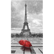 Картина на холсте по фото Модульные картины Печать портретов на холсте красный зонт - Фотообои архитектура|Париж