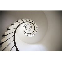 Портреты картины репродукции на заказ - Белая спиральная лестница - Фотообои Расширяющие пространство|лестница