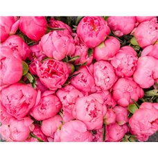 Картина на холсте по фото Модульные картины Печать портретов на холсте Розовые пионы - Фотообои цветы|пионы