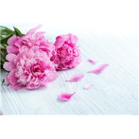 Портреты картины репродукции на заказ - Розовый букет - Фотообои цветы|пионы