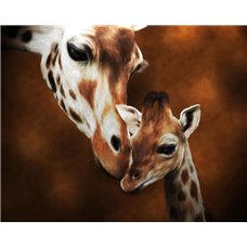 Картина на холсте по фото Модульные картины Печать портретов на холсте Жирафы - Фотообои Животные|жирафы