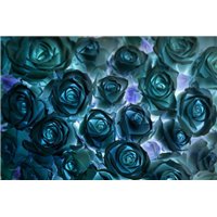 Портреты картины репродукции на заказ - Розы в инверсии - Фотообои цветы