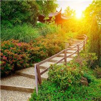 Японский сад - Фотообои Расширяющие пространство|лестница