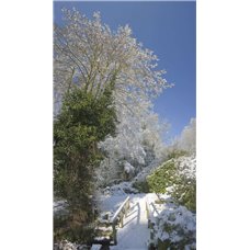 Картина на холсте по фото Модульные картины Печать портретов на холсте Сад зимой - Фотообои Японские и просто сады|зимний сад