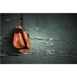 Перчатки для бокса - Фотообои спорт - Модульная картины, Репродукции, Декоративные панно, Декор стен