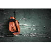 Перчатки для бокса - Фотообои спорт