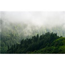 Картина на холсте по фото Модульные картины Печать портретов на холсте Туман над лесом в горах - Фотообои природа