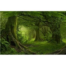 Картина на холсте по фото Модульные картины Печать портретов на холсте Лесной пейзаж - Фотообои природа