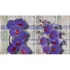 Картина на холсте по фото Модульные картины Печать портретов на холсте Сиреневые орхидеи - 3D фотообои