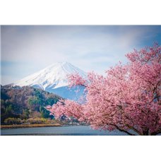 Картина на холсте по фото Модульные картины Печать портретов на холсте Священная гора Фудзияма - Фотообои природа