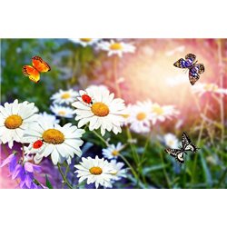 Ромашки и бабочки - Фотообои цветы - Модульная картины, Репродукции, Декоративные панно, Декор стен