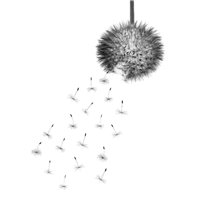 Осыпающийся одуванчик - Фотообои цветы|одуванчик