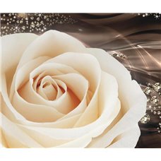 Картина на холсте по фото Модульные картины Печать портретов на холсте Большой бутон розы - Фотообои цветы