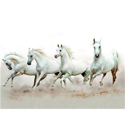 Табун белых лошадей - Фотообои Животные|лошади - Модульная картины, Репродукции, Декоративные панно, Декор стен