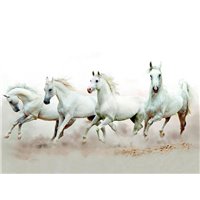 Табун белых лошадей - Фотообои Животные|лошади