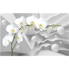 Картина на холсте по фото Модульные картины Печать портретов на холсте Ветка белой орхидеи - 3D фотообои|3D цветы