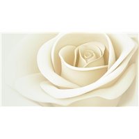 Портреты картины репродукции на заказ - Бутон красивой розы - 3D фотообои