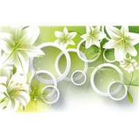 Белоснежные цветы лилии 3d - 3D фотообои|3Д обои в спальню