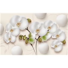 Картина на холсте по фото Модульные картины Печать портретов на холсте Белые орхидеи на стене - 3D фотообои|3D цветы