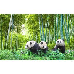 Три панды в лесу - Фотообои Животные - Модульная картины, Репродукции, Декоративные панно, Декор стен