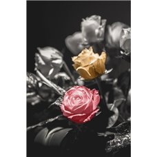 Картина на холсте по фото Модульные картины Печать портретов на холсте Две стороны - Фотообои цветы|розы